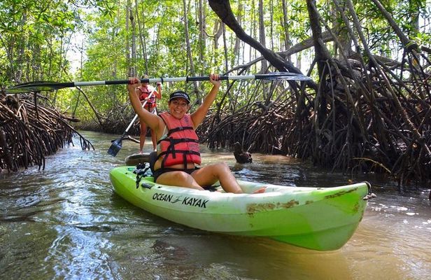 Mangrove Kayaking (or boat) Adventure
