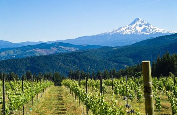Mt. Hood Loop Tour from Portland