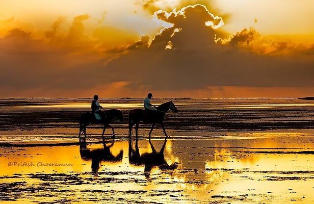 Mauritius Horse Riding at Riambel