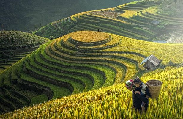 Colors of Sapa - Vietnam 2 Days Tour