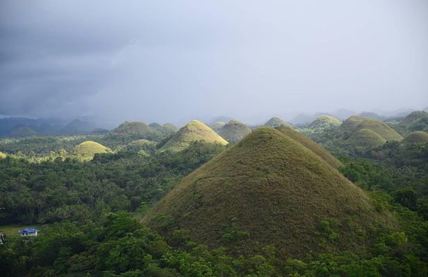 Bohol Chocolate Hills & Tarsiers with roundtrip ferry from Cebu