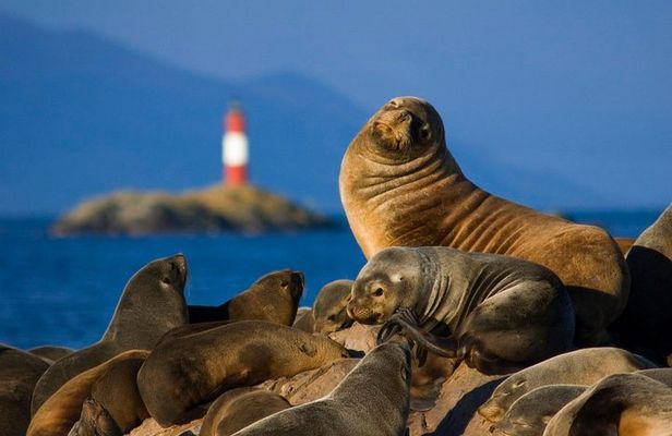 Navigation Beagle Channel Isla de Lobos