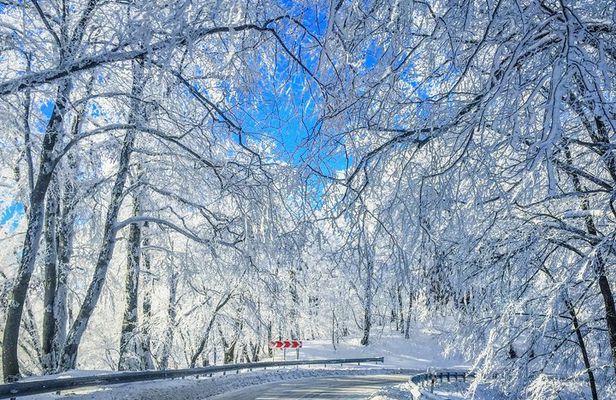 Winter Fun for Families: Sabaduri, Ananuri, Gudauri Adventure