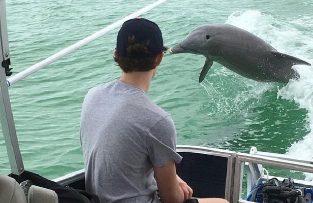 Small Group 2 Hour Dolphin Cruise with Snorkeling to Shell Key