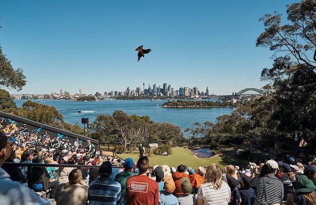 Sydney Taronga Zoo's Aussie Backyard Adventure Tour