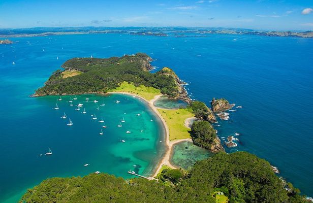 Group tour to Bay of Islands return from Auckland