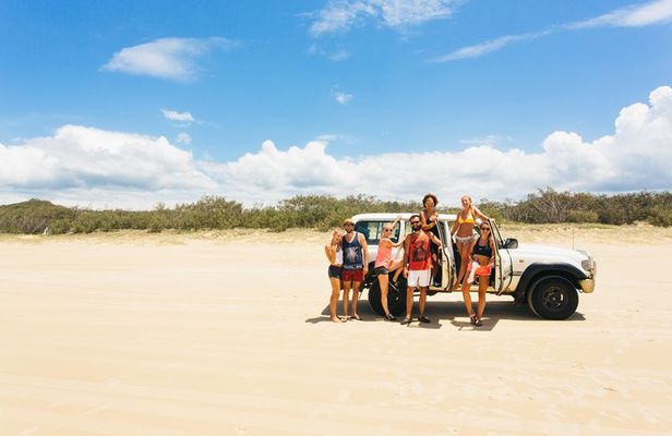 Dingos 2 Day K'Gari (Fraser Island) 4WD Tag-Along Tour