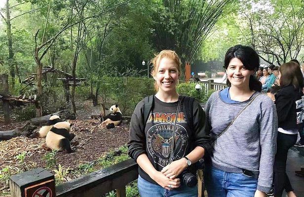 Visiting Chengdu Panda Base in a Half Day