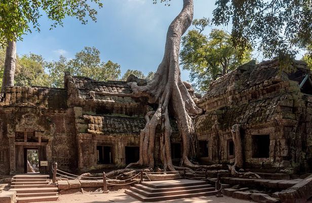 Explore Angkor Wat and Ta Phrom in depth