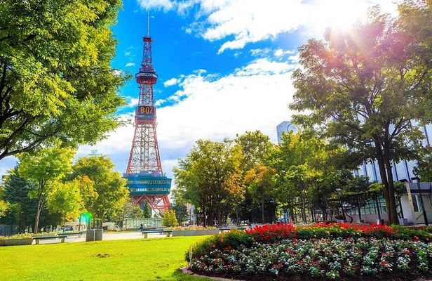 Sapporo 4hr Private Tour with Government Licensed Guide