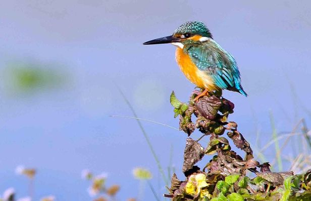 Best of Nepal Luxury Adventure Tour Package - 9 Days