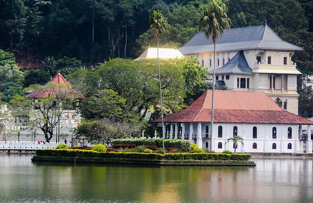 Kandy Day Tour from Colombo or Negombo by Private Car or Van with Driver