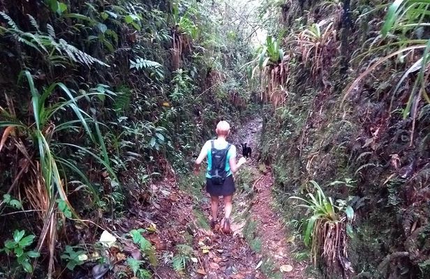 Hiking Mountains and Magical Forests