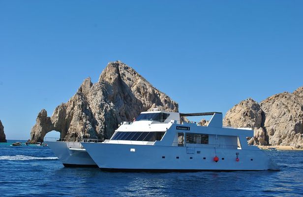 Whale Watching Cruise in Los Cabos
