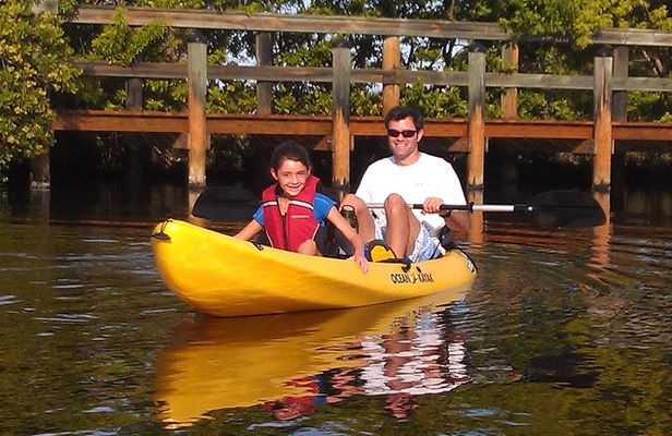 Guided Kayak Tour with Manatee & Dolphin Sightings