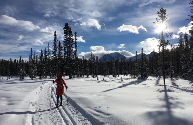 Learn to Cross Country Ski in Lake Louise