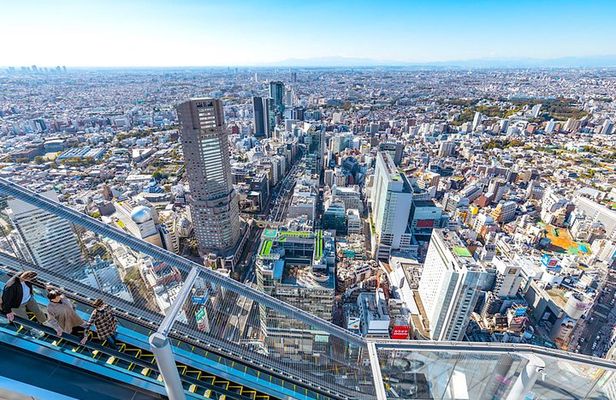One Day Highlights Tour of Tokyo including Shibuya Sky Tickets