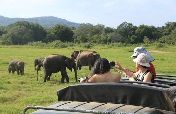 3 Days Glimpse of Sri Lanka