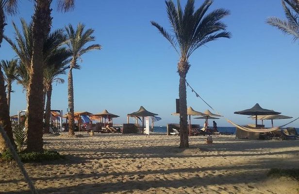 Abu Dabbab Beach Full Day From Hurghada