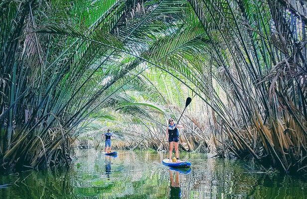 Paddling to explore the historic Vietnam War Rach Chiec jungle,