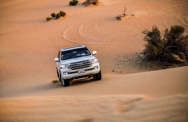 VIP Evening Desert Safari, Camel Ride, Dune Bashing, Sand Boarding, Exclusive