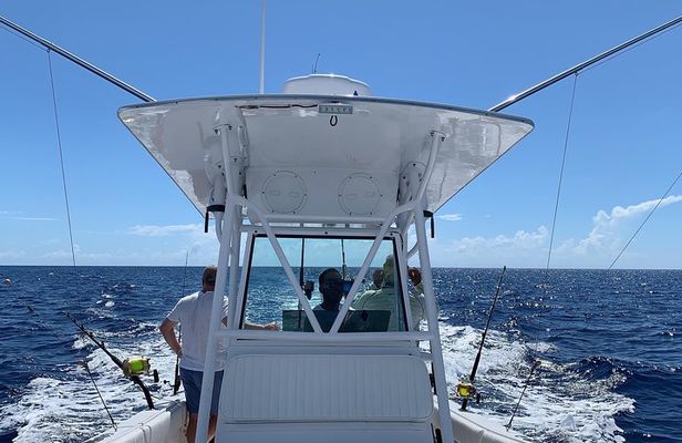 3/4 day deep sea /light tackle fishing