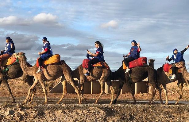 Camel ride in palm grove 