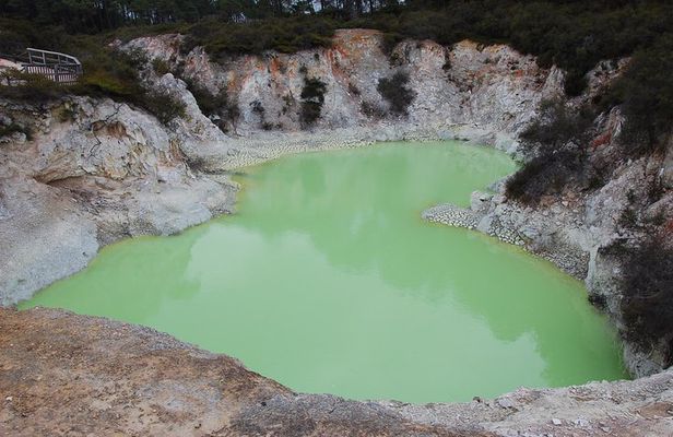 Private Tour Waiotapu Geothermal Shore Excursion up to 8 passengers
