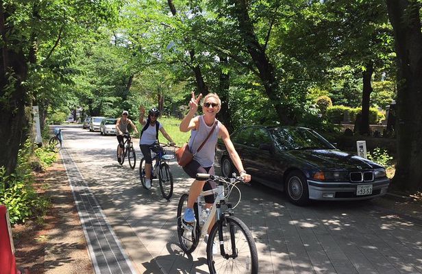 Small Group Cycling Tour in Tokyo