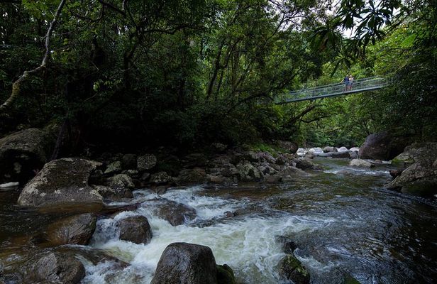 Cape Tribulation, Mossman Gorge and Daintree Rainforest Day Tour
