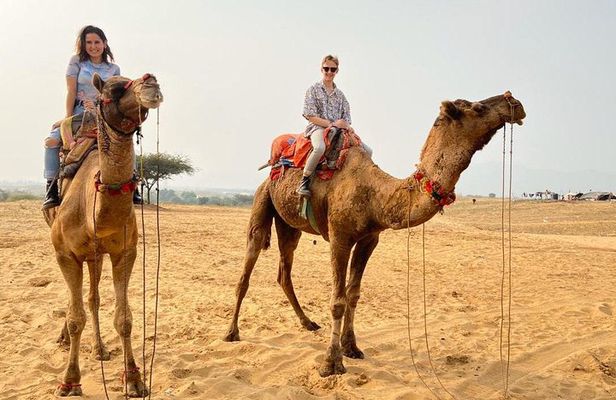 Pushkar Full Day Tour from Jaipur with All Inclusive
