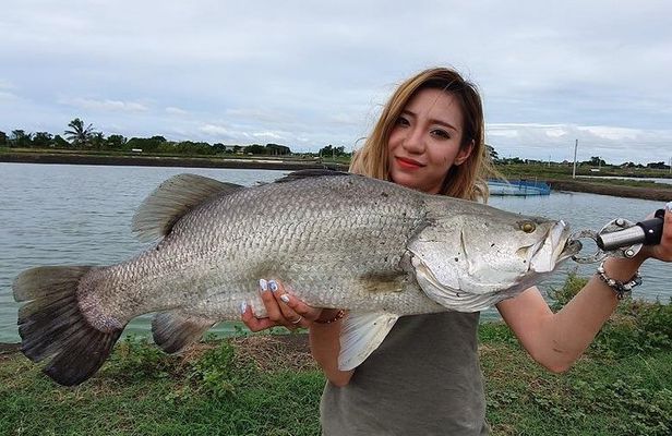 Big Barramundi Lure Fishing Thailand