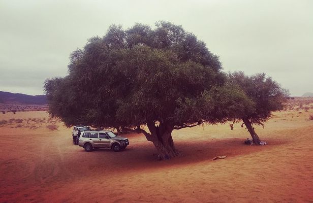 Agadir Trip To Mini Desert / Safari Tour