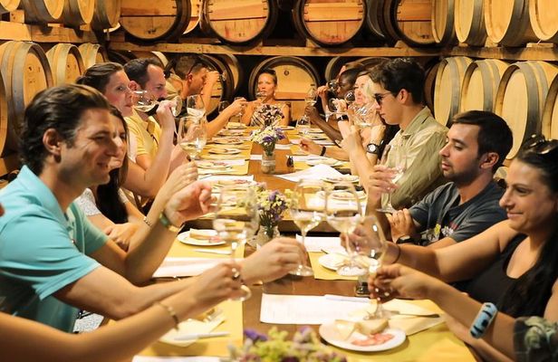 Half-Day Chianti Wine Tasting from Florence with Two Wineries