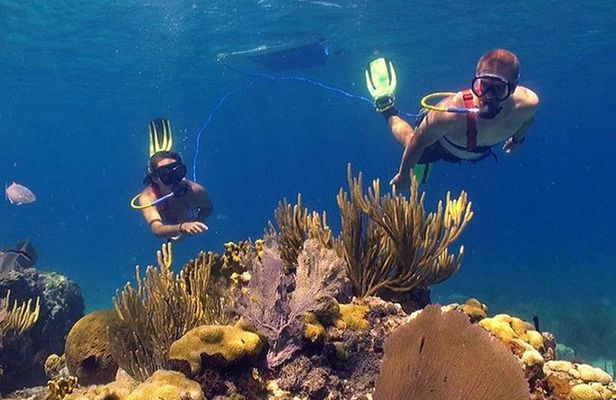 Snuba Adventure at Coral World Ocean Park