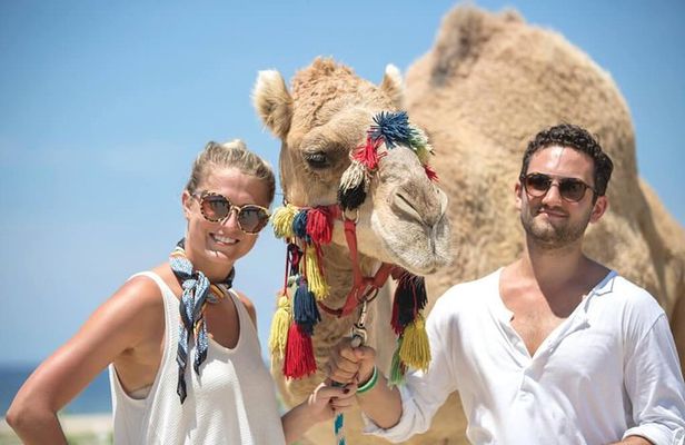 Desert & sea, Camel Safari tour in Los Cabos with lunch
