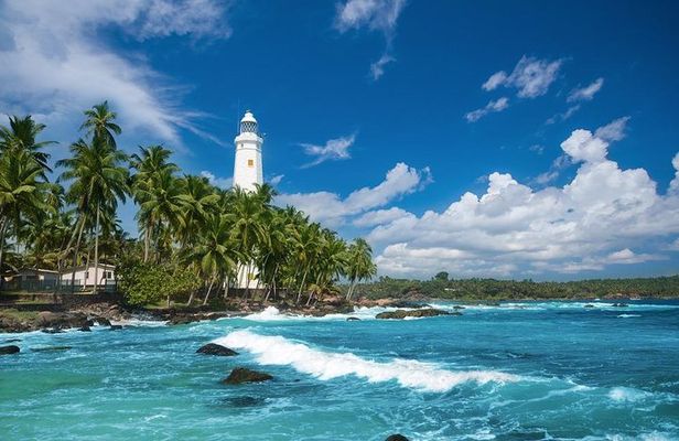 4-Day Sri Lanka Coast Tour