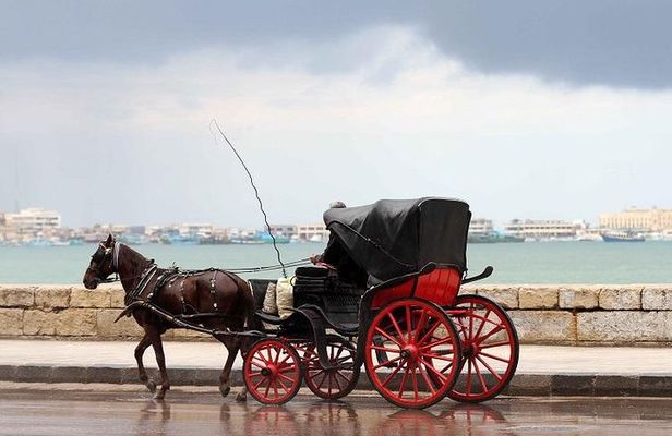 Alexandria Horse Carriage Tour