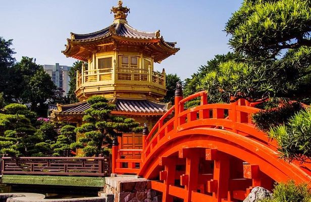 A Perfect Hong Kong Layover - 5h private tour