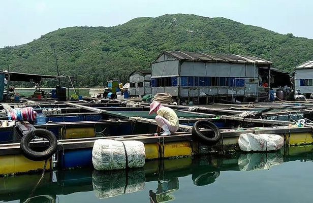 Authentic Fishing Village Tour with Great Seafood Lunch & Relaxing Beach Time