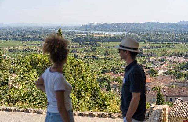 Afternoon Wine Tour to Chateauneuf du Pape from Avignon