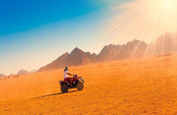 Private Safari Tour in Luxor