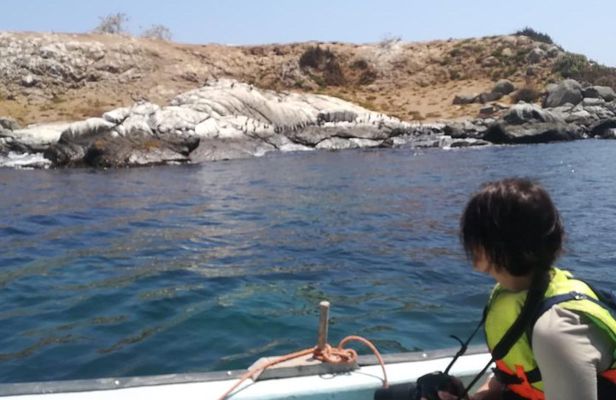 Zapallar and Cachagua Island Experience