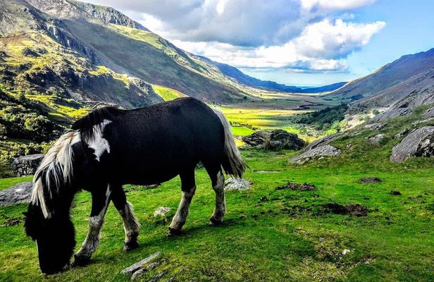 Full-Day North Wales Sightseeing Adventure from Manchester