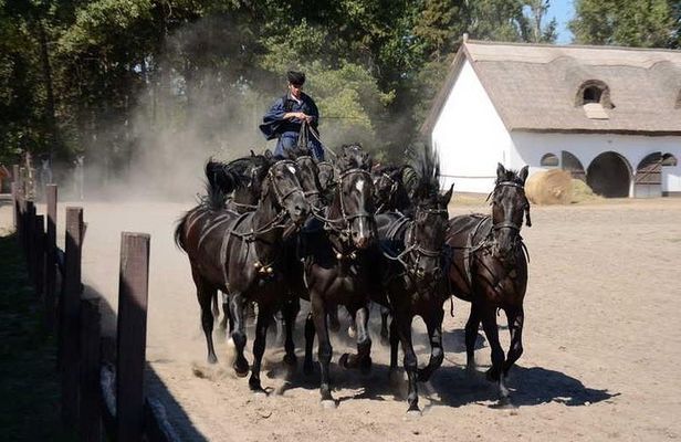 Horseshow on the Hungarian Puszta, private tour from Budapest with entry!