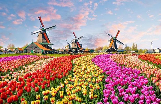 From Amsterdam: Private Tour to Zaanse Schans, Volendam & Marken