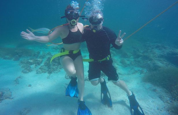 3 ADVENTURES: Sailing Catamaran Cruise - Hooka Diving - Snorkeling