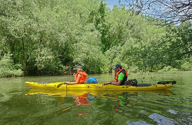 Belgrade War Island Kayak Tour