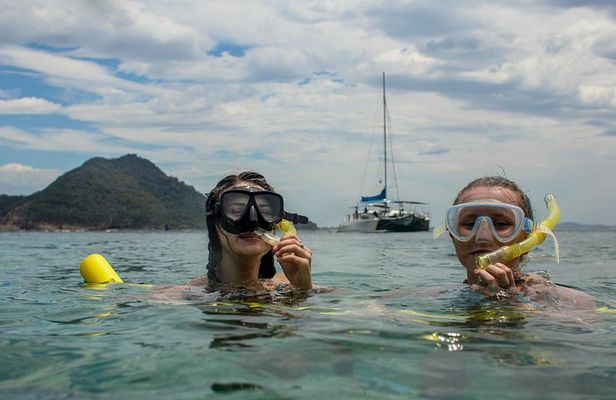 Marine Discovery + Snorkeling Cruise - Port Stephens