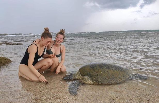 14 Days Tour in Sri Lanka (Hotels with Breakfast & Luxury Car)
